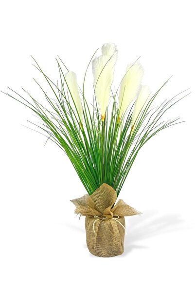 Nettenevime Yapay Çiçek Beyaz Püskül Grass Keten Saksılı Panpas 80*40cm Saz
