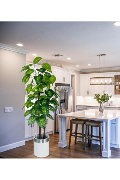 Nettenevime Yapay Çiçek Difenbahya Sarı Yeşil 3Katlı 160cm 54Yaprak Gümüş Kemerli Beyaz Saksıda Yapay Bitki