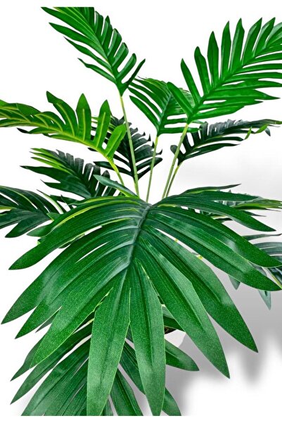 Nettenevime Yapay Ağaç Salon Bitkisi Areka Palmiye Krem Saksıda 60cm 12 Yaprak Plastik