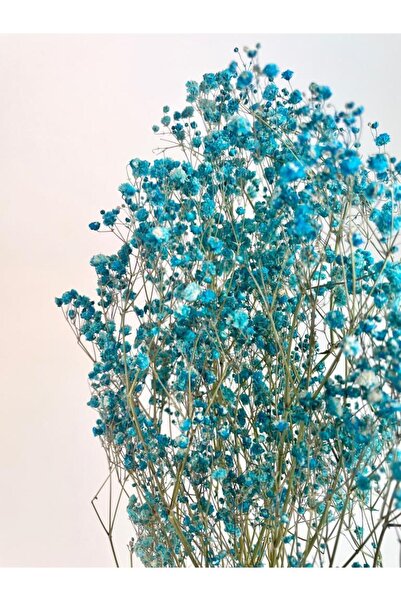 Nettenevime Kuru Çiçek Doğal TURKUAZ Cipso 50gram 1. Kalite Şoklanmış Bozulmaz