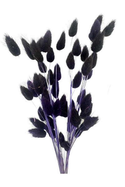 Nettenevime Kuru Çiçek Doğal KOYU LACİVERT Pamuk Otu 10gram 1. Kalite Şoklanm...