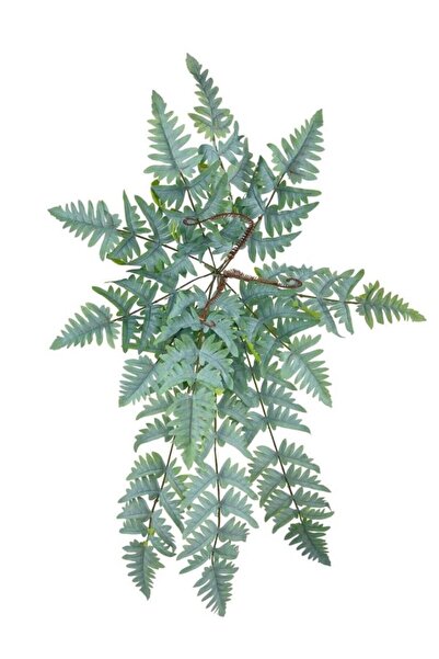 Nettenevime Yapay Çiçek Pastel Cycas Aşk Merdiveni 80cm Eğrelti Otu Sıkas Bitkisi 12 Yaprak 40*80cm Yapay Bitki