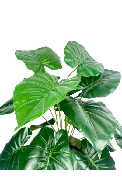 Nettenevime Yapay Çiçek Difenbahya Yeşil Salon Çiçeği 50cm Beyaz Saksılı Yapay Bitki