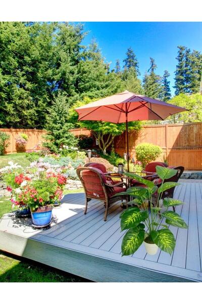 Nettenevime Yapay Çiçek Difenbahya Tropik Salon Çiçeği Beyaz Saksılı Yapay Bitki