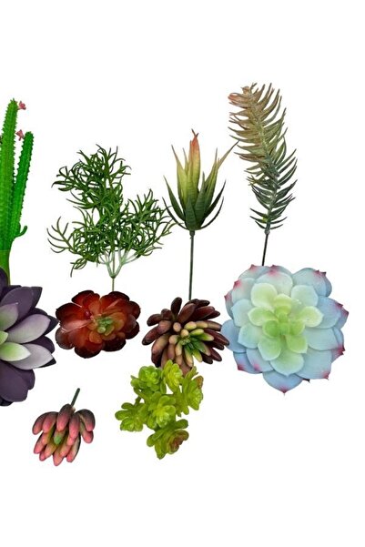 Nettenevime 10lu Set Yapay Çiçek Kaktüs Sukulent Modelleri 10 Karışık Model Skulent 0202
