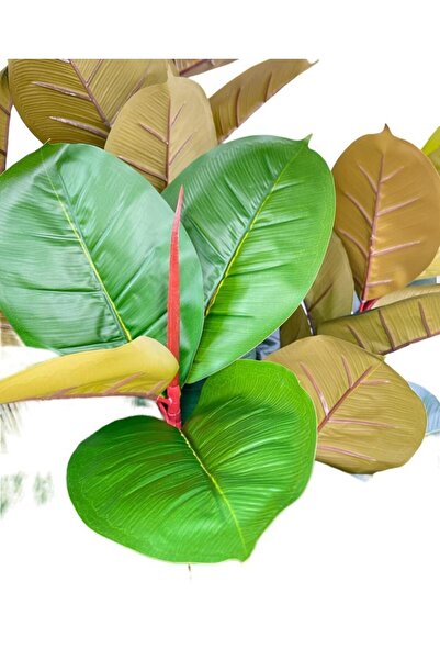 Nettenevime Yapay Ağaç Kauçuk Ağacı Ficus Elastica Salon Çiçeği 150*90 Doğal Gövdeli 61 Yaprak