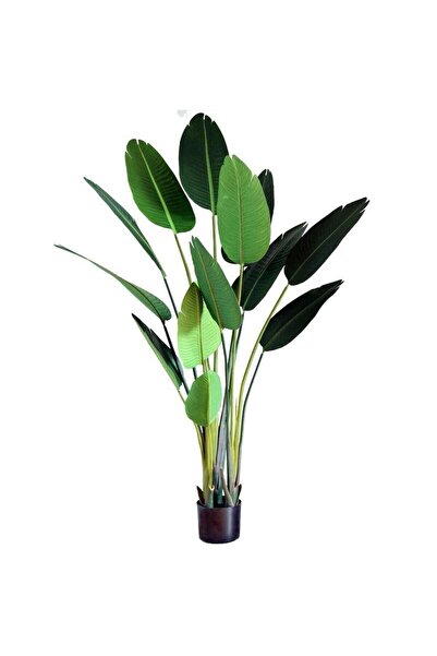 Nettenevime Yapay Ağaç Muz Ağacı Yapay Starliçe 180cm
