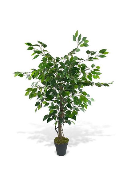 Nettenevime Τεχνητό δέντρο Benjamin Green Salex με κλαδιά 110*70cm σε μαύρη πλαστική γλάστρα