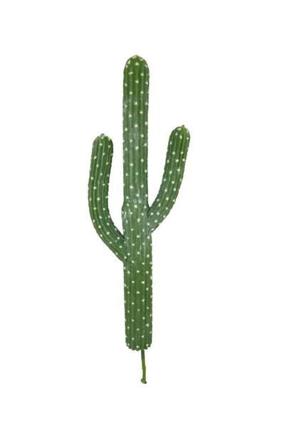 Nettenevime Yapay Çiçek Kaktüs Ağacı 3Kollu 54*20cm sk4018