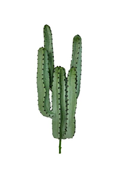 Nettenevime Yapay Çiçek Kaktüs Ağacı 4kollu 70*22cm 4026
