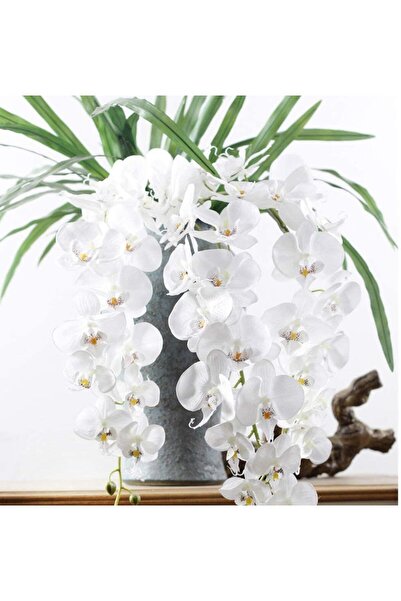 Nettenevime Yapay Çiçek Beyaz Islak Orkide Uzun Dal 90 Cm Orkide