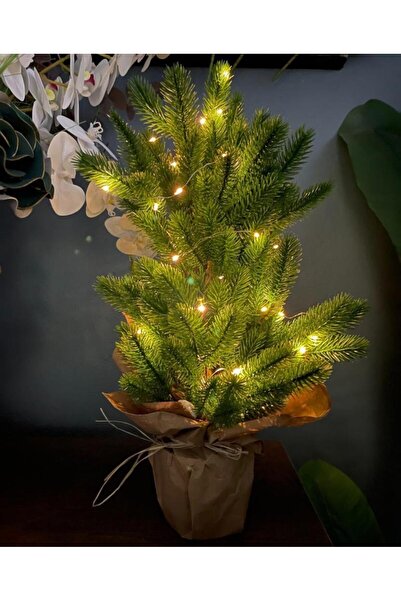 Nettenevime Yılbaşı Ağacı Led Işıklı Yapay Çam Ağacı Kraft Saksıda 55cm
