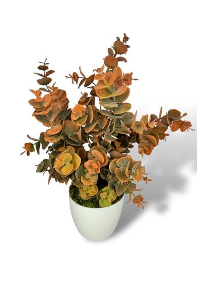 Nettenevime Artificial Flower White Potted Eucalyptus Boxwood Bunch Powdered Pastel Orange Decorative Artificial Plant