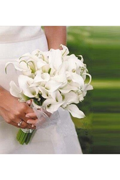 Nettenevime Yapay Çiçek Islak Gala Gerçeksi Eva Malzeme Cala Flower 8li Krem