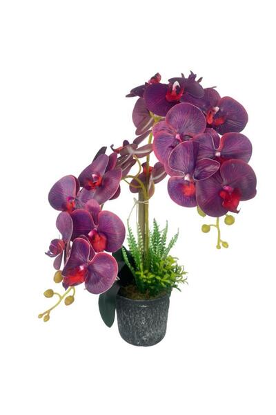 Nettenevime Yapay Çiçek 2li Mor Bordo Damarlı Islak Orkide Seramik Saksıda Orkide 60cm