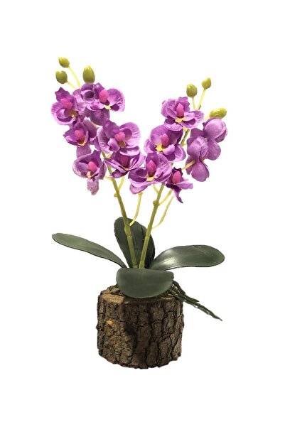Nettenevime Yapay Çiçek Orkide Doğal Kütük Saksı Da Hediyelik Lila 25cm