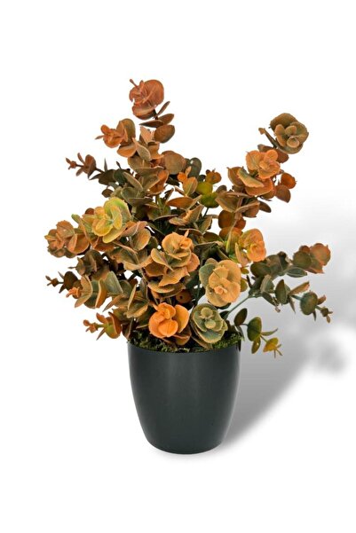 Nettenevime Yapay Çiçek Siyah Saksıda Okaliptus Şimşir Demeti Pudralı Pastel Turuncu Dekoratif Yapay Bitki