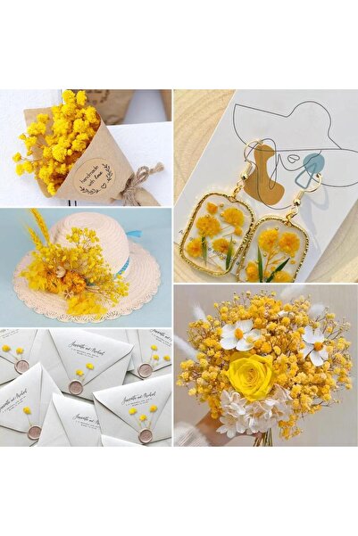 Nettenevime 10lu Set Kuru Çiçek Doğal Cipso Şoklanmış Bozulmaz 10Farklı  Karışık Renkler