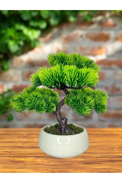 Nettenevime Bonsai Dekoratif Yapay Ağaç Yeşil Bonzai 35*30cm Krem Renk Yuvarlak Saksıda
