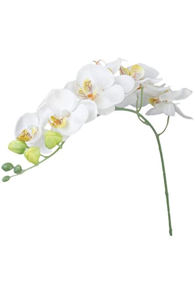 Nettenevime Yapay Çiçek Beyaz Islak Orkide Uzun Dal 90 Cm Orkide