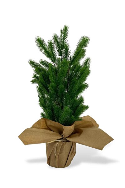 Nettenevime Yılbaşı Ağacı Yapay Çam Ağacı Kraft Saksıda 55cm
