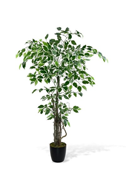Nettenevime Yapay Ağaç Benjamin 120cm Yeşilbeyaz Çalılı Siyah Plastik Saksılı