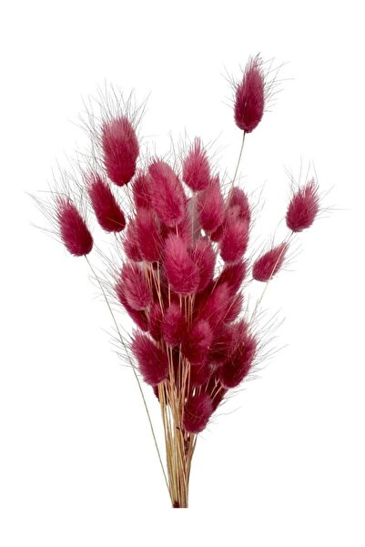 Nettenevime Kuru Çiçek Doğal BORDO AÇIK Pamuk Otu 10gram 1. Kalite Şoklanmış ...