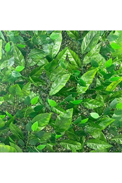 Nettenevime Yapay Çiçek Duvar Kaplama Yapay Duvar Çiçeği 1M2 100*100CM Panel Şimşir Yapay Çiçekli Duvar
