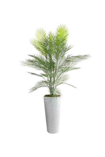 Nettenevime Yapay Ağaç Areka Ağacı Beyaz Uzun Kumsal Vazoda Palmiye Ağacı Yap...