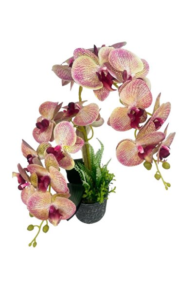 Nettenevime Yapay Çiçek 2li Pembe Damarlı Islak Orkide Seramik Saksıda Orkide 60cm