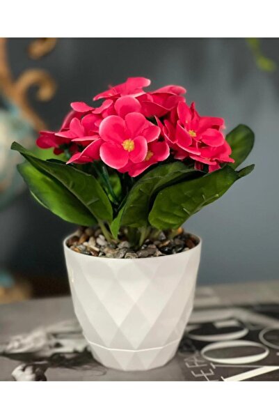 Nettenevime Yapay Çiçek Beyaz Saksıda Kadife Menekşe Gerçekçi Doku Çakıl Taşlı Fuşya