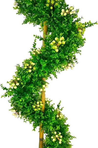 Nettenevime Yapay Ağaç Spiral Beyaz Kokina Şimşir Ağacı 160cm Bambu Saplı Salon Bitkisi