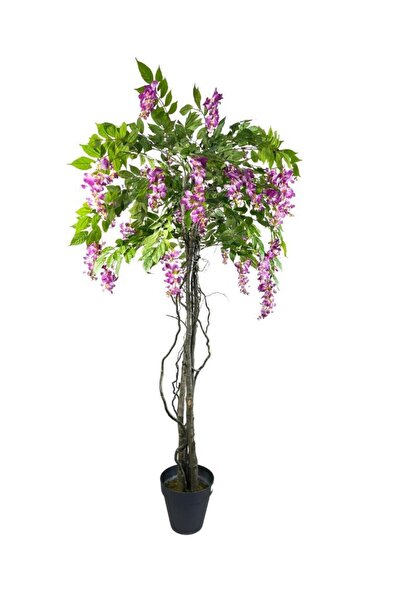 Nettenevime Yapay Ağaç Akasya Ağacı Mor Salkım 3gövdeli Doğal Salex Dallar 180cm