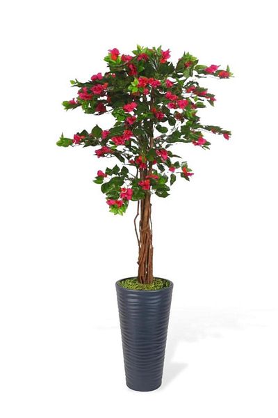 Nettenevime Τεχνητό δέντρο Anthracite 57cm Bougainvillea Tree σε Βάζο Φούξια Μπουντρόμ Λουλούδι 180cm