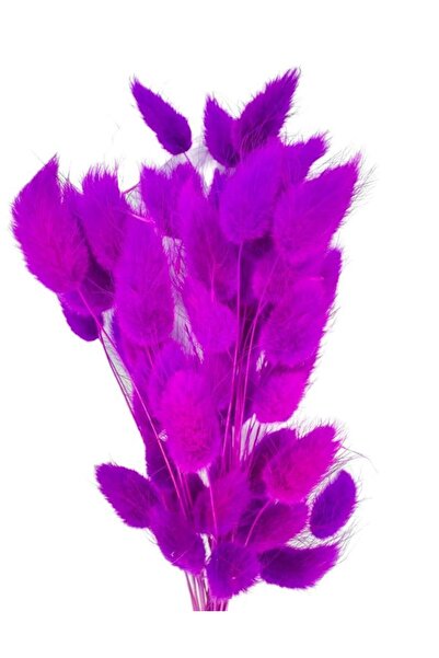 Nettenevime Kuru Çiçek Doğal LİLA Pamuk Otu 10gram 1. Kalite Şoklanmış Bozulmaz