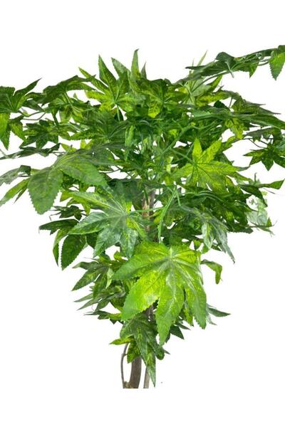 Nettenevime Yapay Ağaç Yeşil Çınar Ağacı100x70cm Siyah Plastik Saksılı