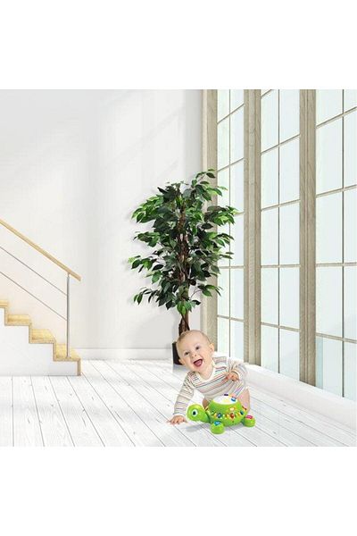 Nettenevime Τεχνητό δέντρο Benjamin 2 στέλεχος θάμνος 120x70cm μαύρη πλαστική γλάστρα