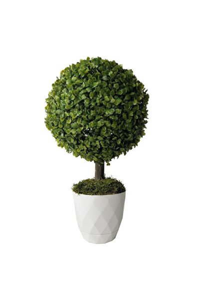 Nettenevime Yapay Ağaç Şimşir Top Tek Toplu 28cmx50cm