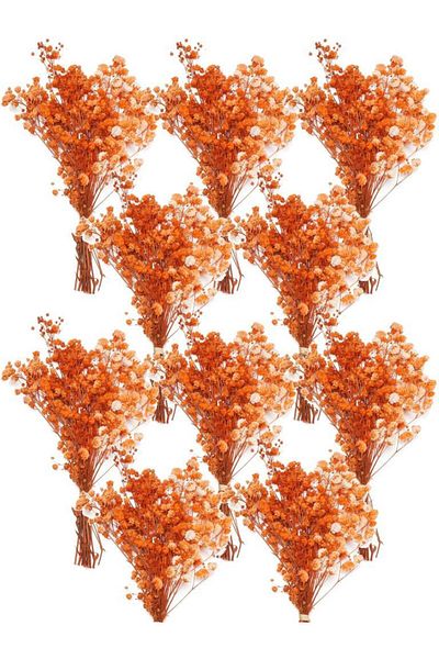 Nettenevime Σετ 10 Dry Flower Natural ORANGE Cipso Shocked Μη Απορριμμένο