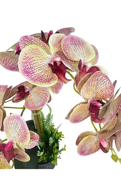 Nettenevime Yapay Çiçek 2li Pembe Damarlı Islak Orkide Seramik Saksıda Orkide 60cm