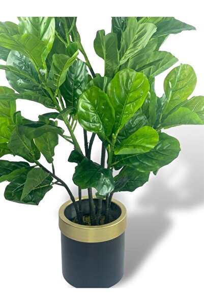 Nettenevime Yapay Ağaç Keman Yapraklı Kavuçuk Yeşil Salon Bitkisi Siyah Gold Galvaniz Saksıda 140cm