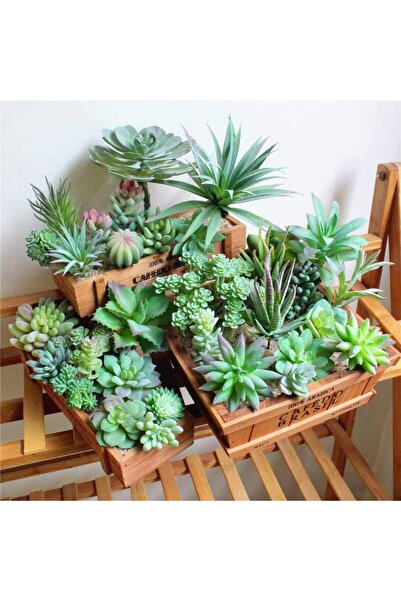 Nettenevime 10lu Set Yapay Çiçek Kaktüs Sukulent Modelleri 10 Karışık Model Skulent 0202