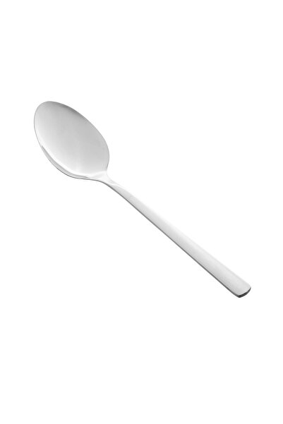 Bin Shihoun Abomar Co Stainless Steel Scoop Spoon