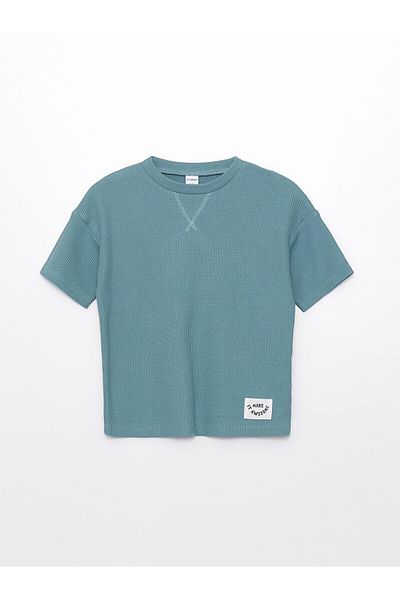 LC Waikiki LCW baby Crew Neck Basic Baby Boy T-Shirt and Shorts 2 Pieces Set