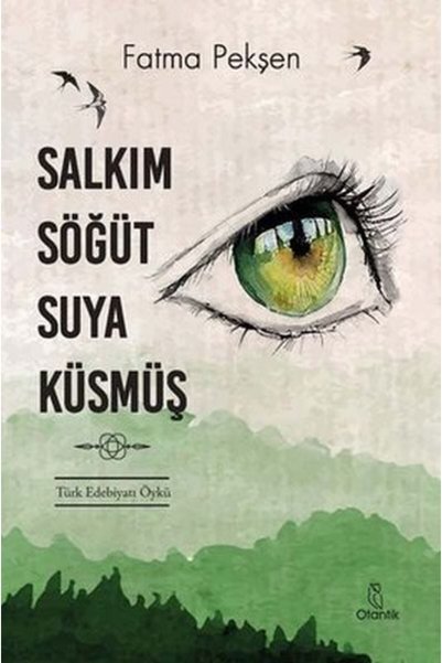 İthaki Yayınları Salkım Söğüt Suya Küsmüş