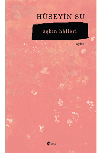 Şule Yayınları Aşkın Halleri
