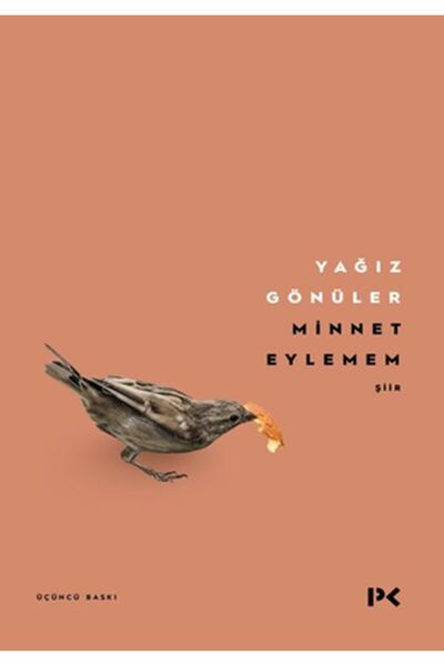 Profil Kitap Minnet Eylemem