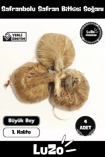 Genel Markalar Premium Seri Yerli Üretim Dikime Hazır Büyük Boy 1. Kalite Saf...