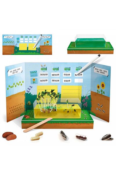 Headu Montessori - Jurnalul Stiintei