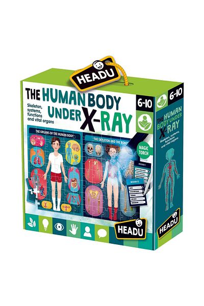 Headu Stem - Puzzle Radiografia Corpului Uman